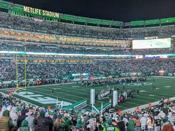 New York Jets - Portrait