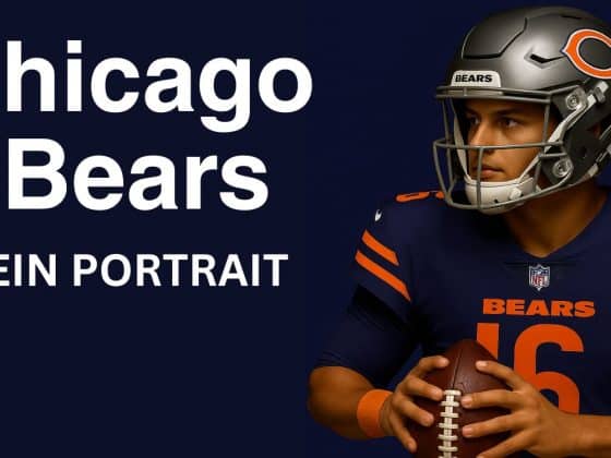 CHICAGO BEARS - EIN PORTRAIT