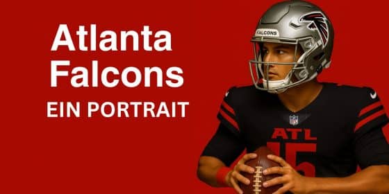 ATLANTA FALCONS- EIN PORTRAIT