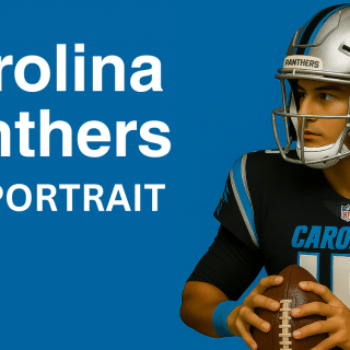 Carolina Panthers - EIN PORTRAIT